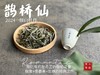 【2024春茶来了】连续7年春白茶销冠，2024一级白牡丹《鹊桥仙》，等级更高，鲜、爽、清、润，香透了！ 商品缩略图0