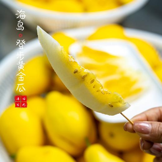 【闹妈】舟山新鲜登步黄金瓜3斤/4斤 各种规格单独发货包邮全国偏远除外 商品图3