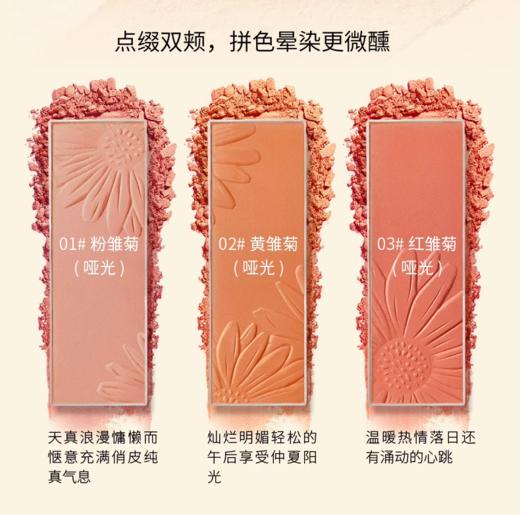 兰瑟趣野花田腮红盘 商品图1