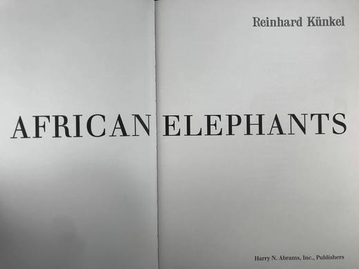 非洲大象图集 128页彩色插图 精装8开 商品图3