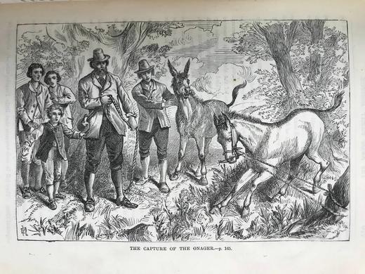 约19世纪后期 约翰·维斯《海角乐园》 数十幅精美插图 漆布精装18开 商品图8