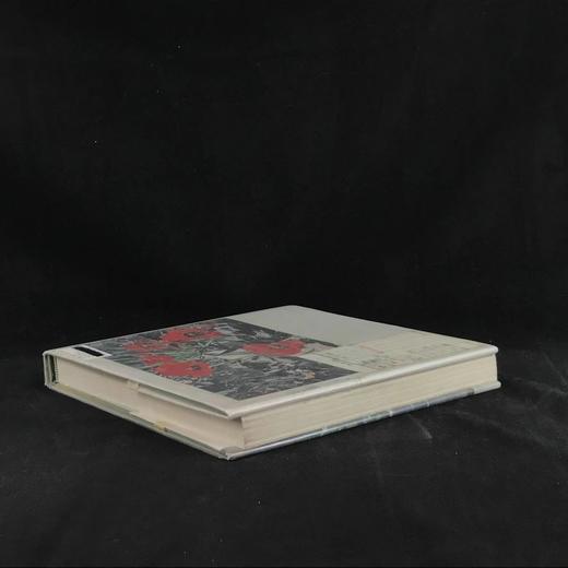 美国水彩画传统 114幅彩色插图 精装16开 商品图2