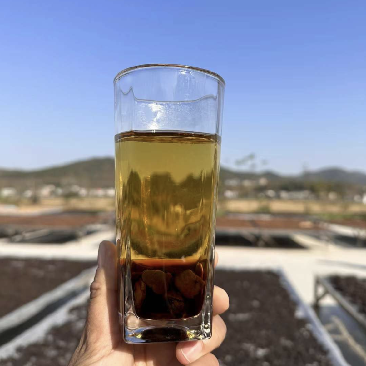 安徽九华山黄精茶