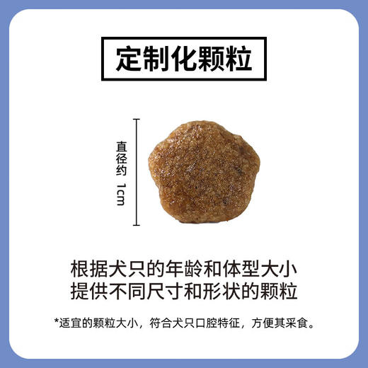 【囤货装】伯纳天纯经典狗粮小型犬成犬专用犬粮1.5KG 商品图5