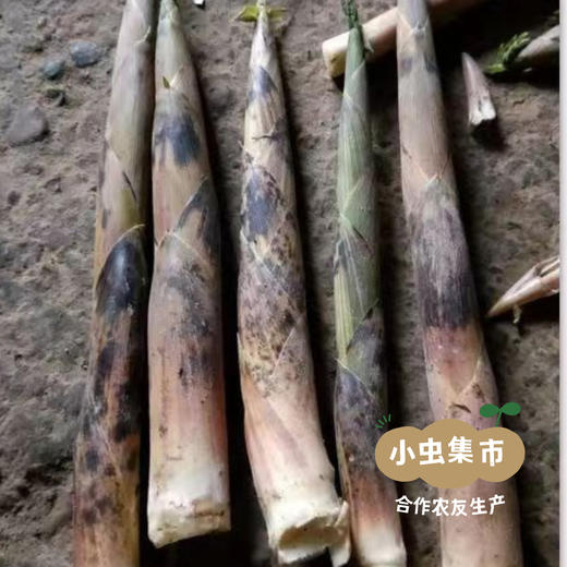 【积分享优惠】生态石笋干 250g/袋 | 合作农友生产，产自杭州天目山，生产者：潘新梅 &【公平贸易农人定价】 商品图10