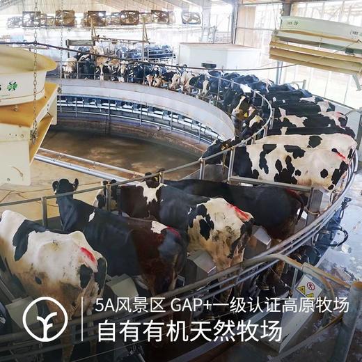 【远方检测11项激素/30项兽残等均未检出 无添加无防腐新希望集团来自云南高原纯正味道】3.6g高蛋白全脂纯牛奶10瓶/箱*1箱 商品图2