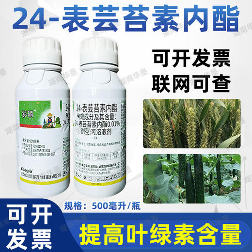 24表芸苔素内脂云苔素内酯植物生长调节剂促花促长叶面喷施 商品图2