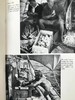 1950年 托尔·海尔达尔《孤筏重洋》 18幅插图 布面精装大32开 商品缩略图11