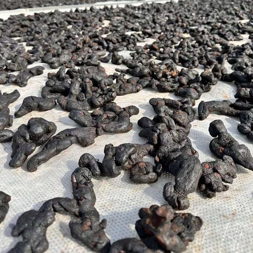 安徽九华山九制熟黄精、整根黄精 商品图1