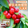 【包邮】密农人家现摘新鲜红樱桃  自然成熟  酸甜多汁 500g×4  礼盒装 商品缩略图0