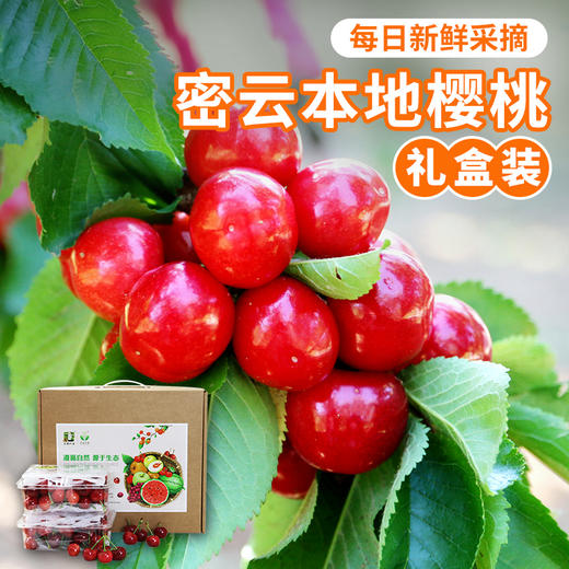 【包邮】密农人家现摘新鲜红樱桃  自然成熟  酸甜多汁 500g×4  礼盒装 商品图0