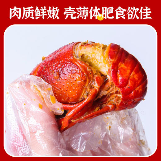 【顺丰快递】湖北潜江麻辣小龙虾（4-6）钱 750g*盒 加热即食 商品图5