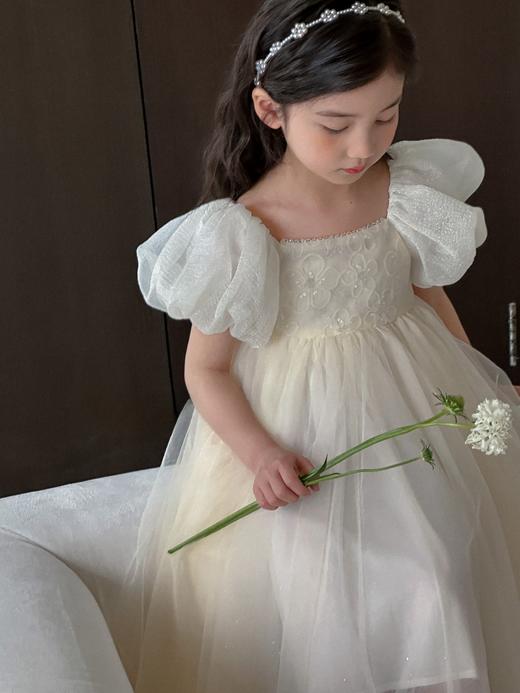 白月光公主裙 商品图0