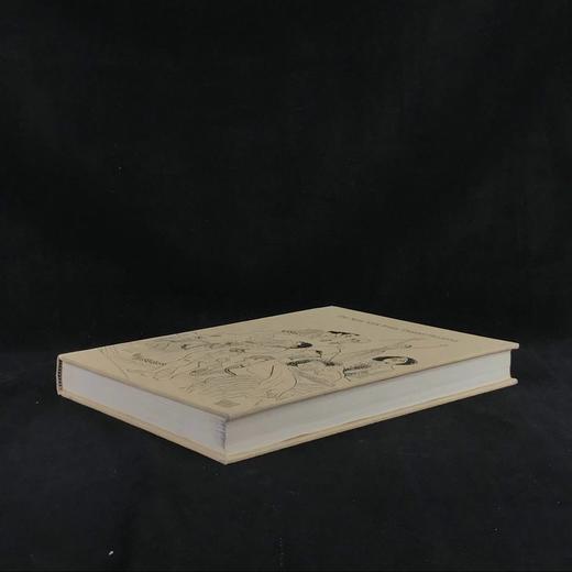 《纽约时报》剧场评论集 数百幅插图 精装大16开 商品图1