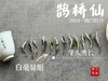 【2024春茶来了】连续7年春白茶销冠，2024一级白牡丹《鹊桥仙》，等级更高，鲜、爽、清、润，香透了！ 商品缩略图6