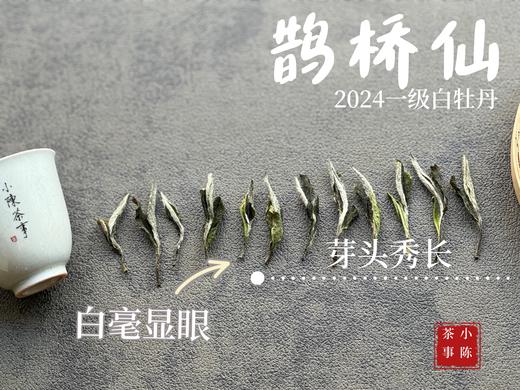 【2024春茶来了】连续7年春白茶销冠，2024一级白牡丹《鹊桥仙》，等级更高，鲜、爽、清、润，香透了！ 商品图6