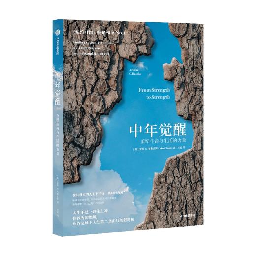 中年觉醒 重塑生命与生活的力量 阿瑟．C．布鲁克斯 著 励志 商品图4