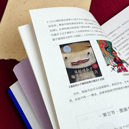 图画书的阅读与教学 大夏书系 刘颖著 图画书课堂教学 商品图10