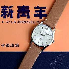 新品 | 海鸥Seagull新青年五一复古自动机械手表D51男表40壳径