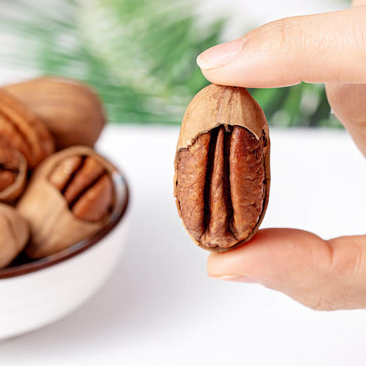 【咪go鹦鹉】碧根果360g 商品图1