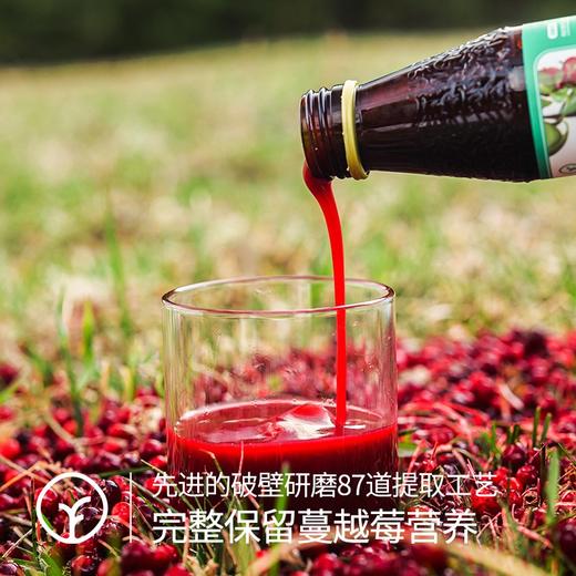 【检测298项农残未检出 有机野生蔓越莓原浆一瓶约等于400颗野生蔓越莓】原花青素约普通葛越莓19倍 瓶装/袋装可选 商品图3