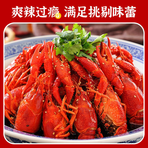 【顺丰快递】湖北潜江麻辣小龙虾（4-6）钱 750g*盒 加热即食 商品图4