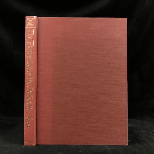 中世纪的绽放 303幅插图（93幅彩色） 精装大16开 商品图0