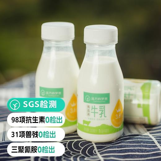 【检测31项兽残未检出 定制低温短保牛乳, 保质期15天200ml*9瓶】每100m1l含3.6g蛋白奶香浓郁丝滑 更好的保留牛奶中营养 商品图0
