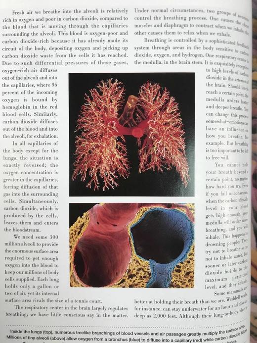 不可思议的旅程：人体探索 300幅插图 精装16开 商品图12