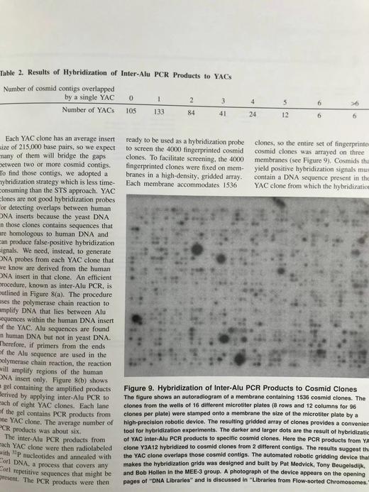 人类基因组计划：解读遗传蓝图 配插图 精装16开 商品图12