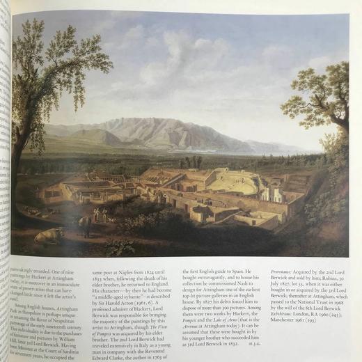 英国私人艺术藏品图集 数百幅彩色插图 平装大16开 商品图10