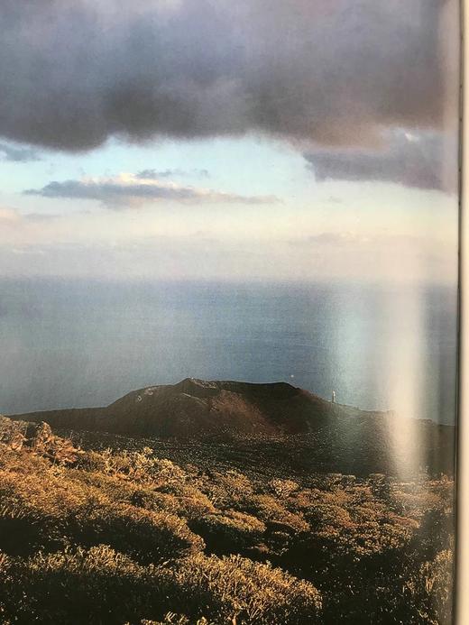 哥伦布：从黄金到荣耀 250余幅插图 精装大16开 商品图13