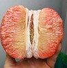 皇家翡翠蜜柚子约800~850g/只 商品缩略图3
