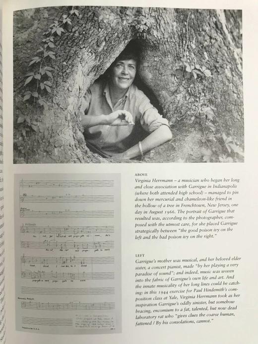 诗人手稿集 数百幅插图 精装16开 商品图8