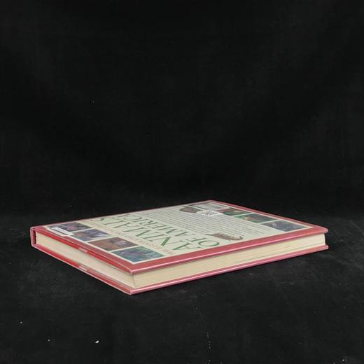 美国动物图解百科全书 900余幅彩色插图 精装大16开 商品图2