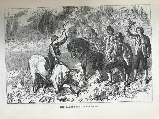 约19世纪后期 约翰·维斯《海角乐园》 数十幅精美插图 漆布精装18开 商品图5