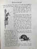 1897年 克拉布的第一本书：圣诞故事集 25幅插图 漆布精装32开 商品缩略图14