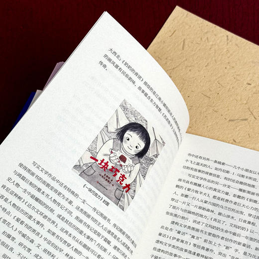 图画书的阅读与教学 大夏书系 刘颖著 图画书课堂教学 商品图9