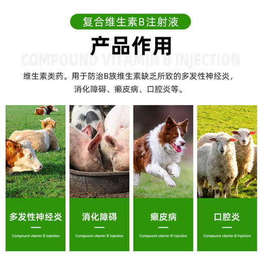 兽药复合维生素VB促进食欲消化开胃马牛羊猪神经炎消化障碍癞皮病 商品图3