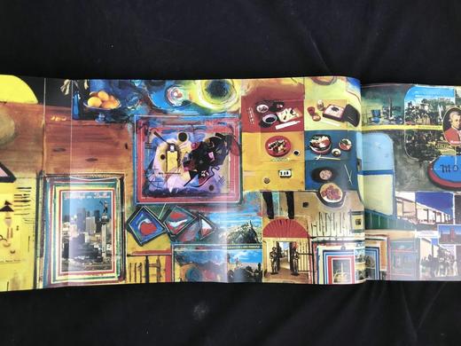 威廉·韦格曼画集 约百幅彩色插图 精装大16开 商品图6