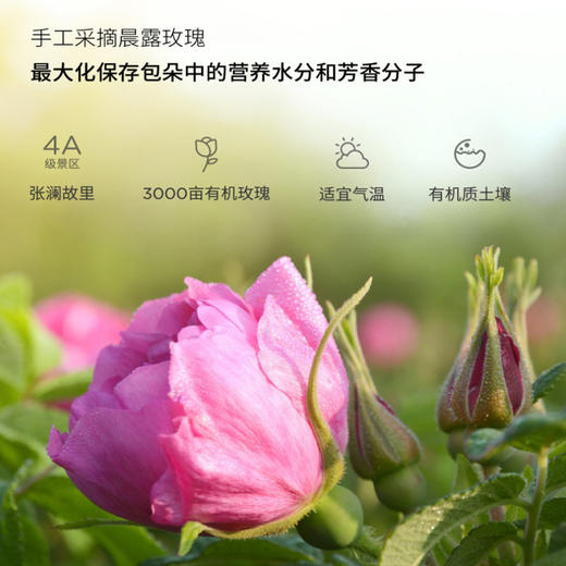 有机玫瑰纯露200ml(赠送60ml便携装） 商品图9
