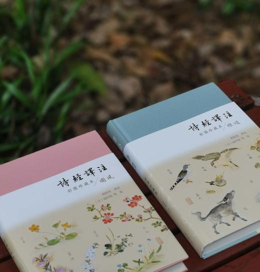 《诗经译注》（彩图珍藏本），精装，16开，全2册，程俊英译注，[日]细井徇等绘，上海古籍出版社2022年一版三印，916页，定价198元，售价82元。品相9成。 商品图3