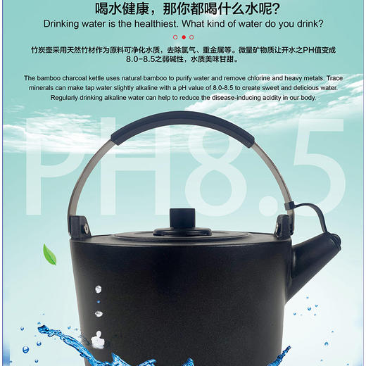自然法则石墨烯远红外线全炭壶2L 商品图2