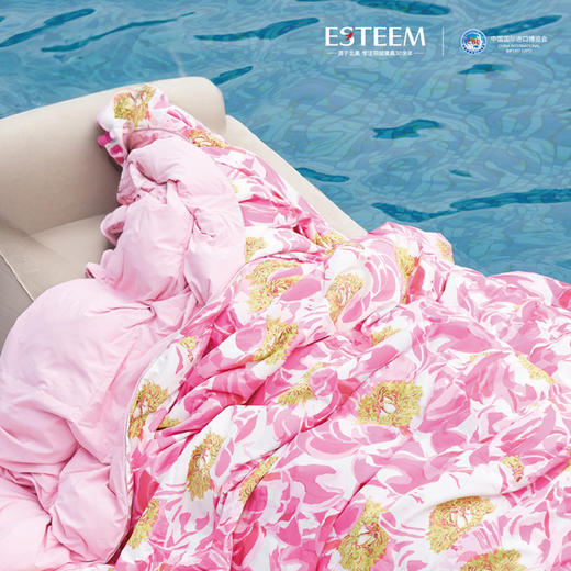 冷萃凉感可水洗匈牙利鹅绒夏被 商品图0