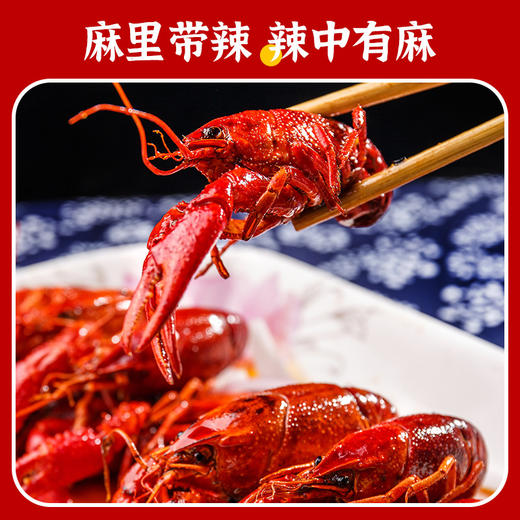 【顺丰快递】湖北潜江麻辣小龙虾（4-6）钱 750g*盒 加热即食 商品图3