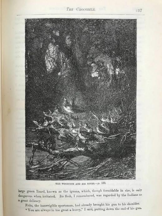 约19世纪后期 约翰·维斯《海角乐园》 数十幅精美插图 漆布精装18开 商品图10