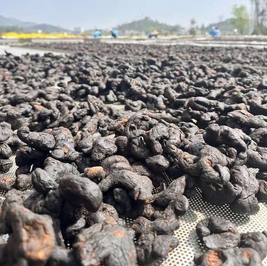 安徽九华山九制熟黄精、整根黄精 商品图2