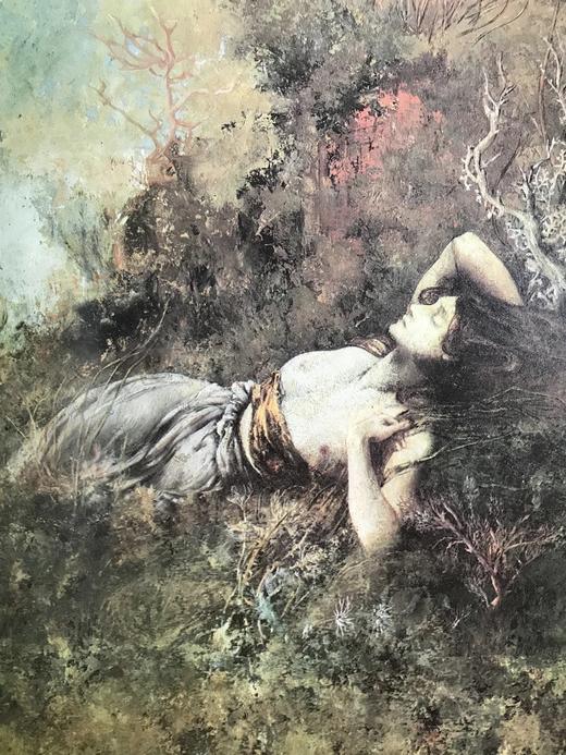 象征主义画集 49幅彩色164幅黑白插图 精装大16开 商品图7