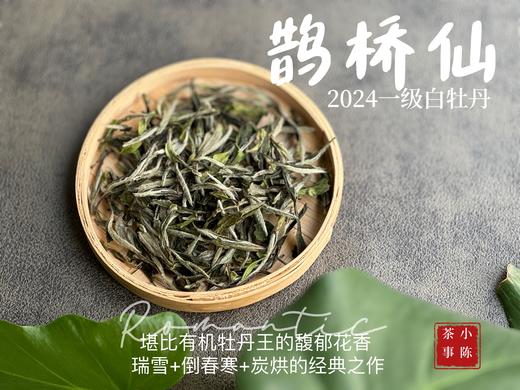 【2024春茶来了】连续7年春白茶销冠，2024一级白牡丹《鹊桥仙》，等级更高，鲜、爽、清、润，香透了！ 商品图0