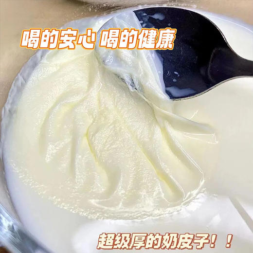 俄罗斯进口富硒高钙牦牛奶粉 500g/袋 超值4袋装 商品图3